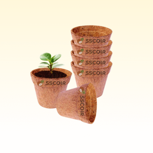 Untitled design Coir Pots